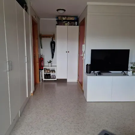 Fully Furnished 公寓