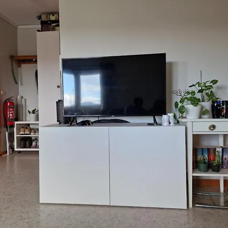 Fully Furnished 公寓 *