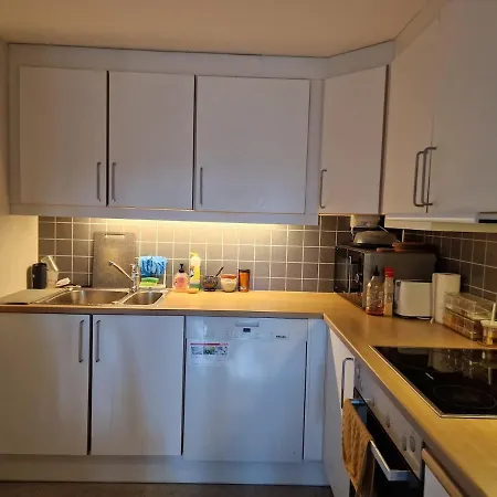 公寓 Fully Furnished